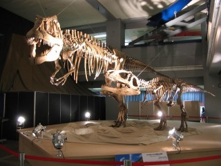 126855661754516306082