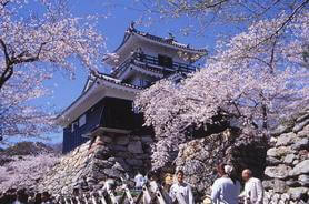 浜松城（浜松市）