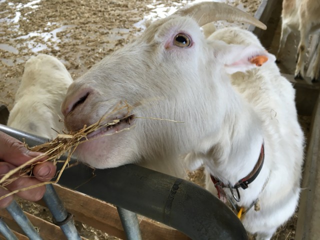 ファイル 2016-04-30 18 03 00