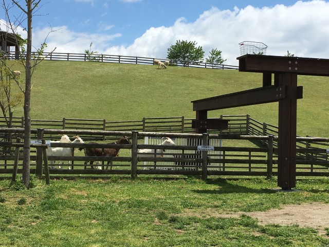 ファイル 2016-04-30 18 03 41