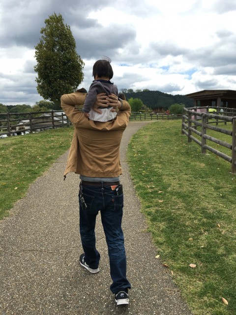 ファイル 2016-04-30 18 05 27