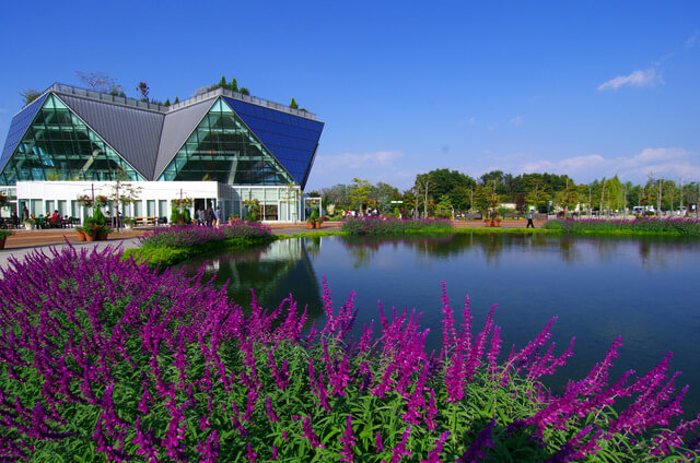 フラワーパーク江南（江南市）