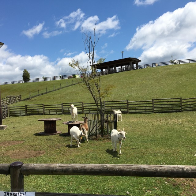 ファイル 2016-04-30 18 03 26