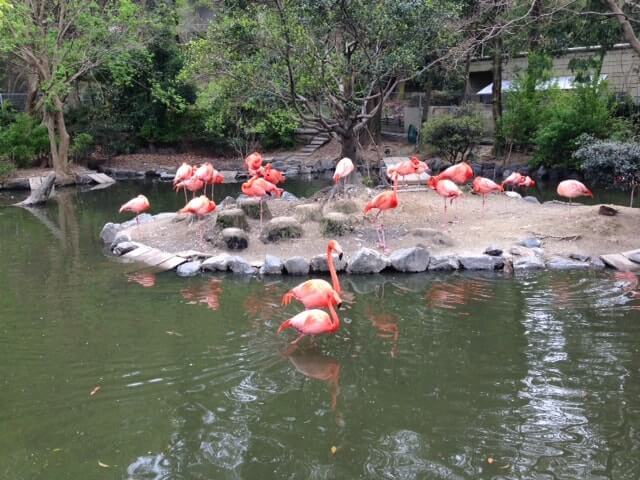 東山動植物園（名古屋市千種区）