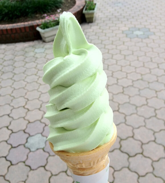 蒲郡オレンジパーク（蒲郡市）