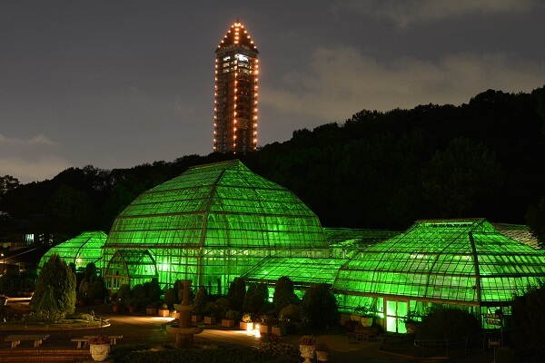 東山動物園　ナイトZOO（名古屋市千種区/東山公園駅）