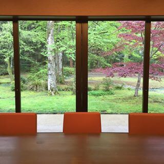 12519677_1718121201779498_1871246058_n