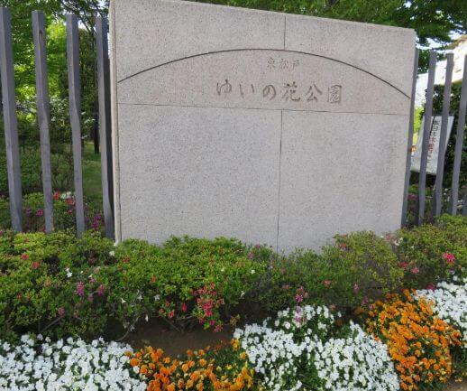 東松戸ゆいの花公園(千葉県松戸市/観光）