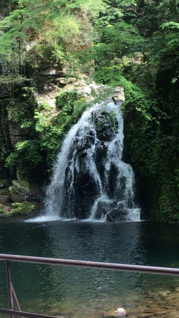 ファイル 2016-05-24 14 55 06