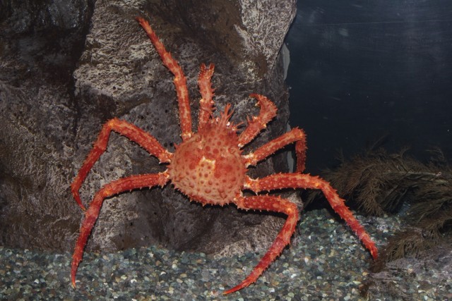 7c204011db88e4c052718ebd3ab0bbb4