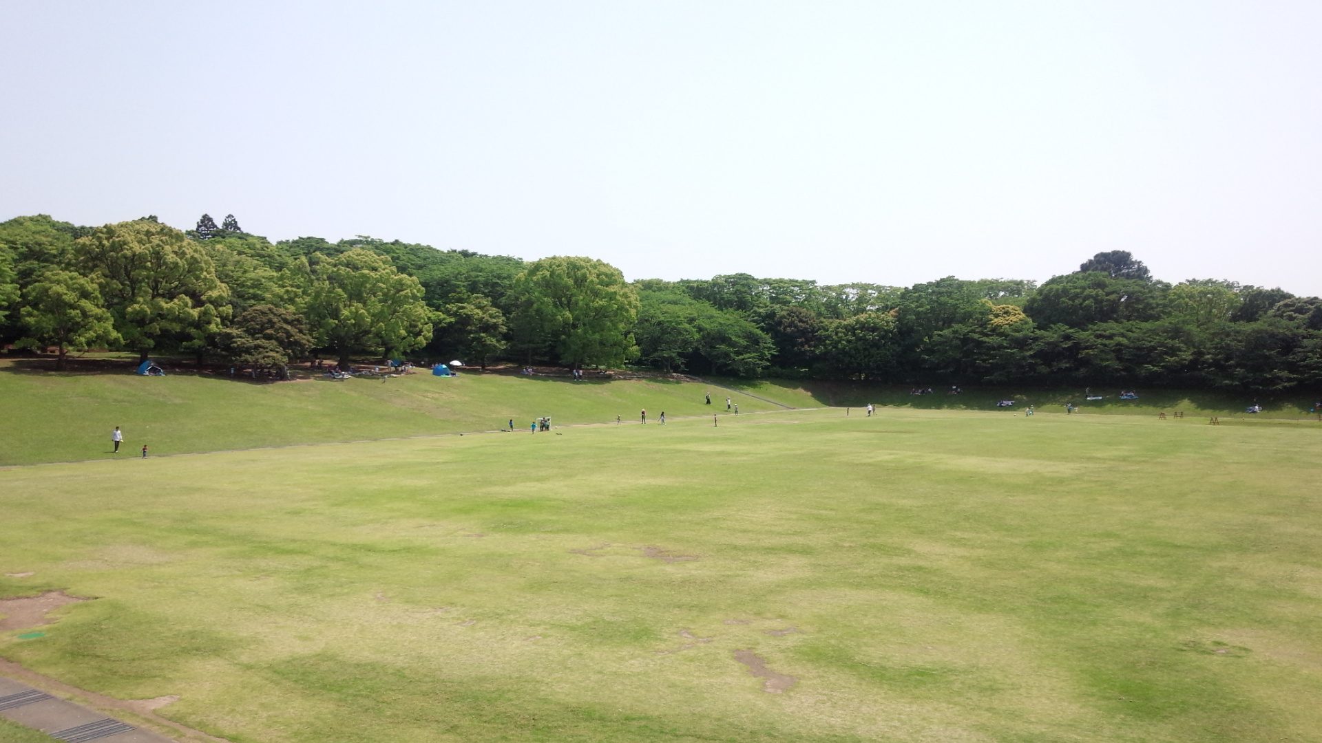 静岡県立大学隣の芝生園地（静岡県静岡市駿河区／観光）