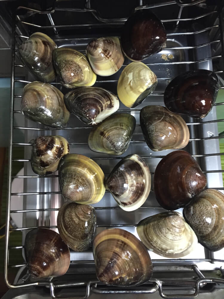 ハマグリ（桑名・グルメ）