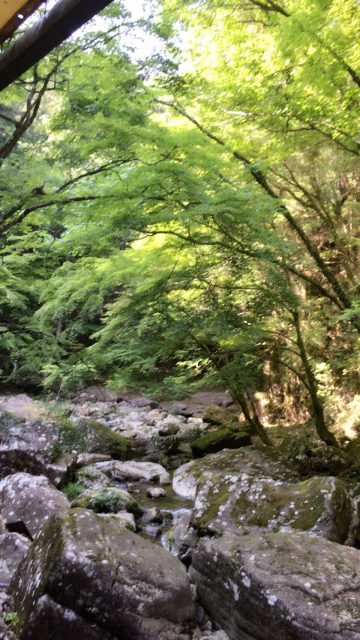 ファイル 2016-05-24 14 55 31