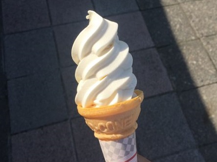 IMG_3651-480x640 (1)