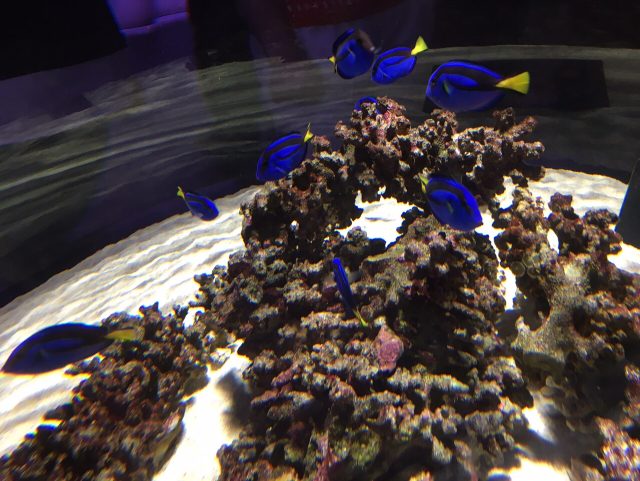 ファイル 2016-07-22 10 08 21