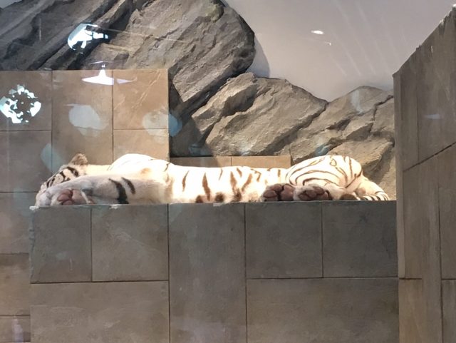 ファイル 2016-07-22 10 08 42