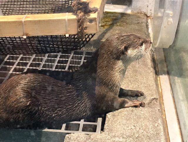 ファイル 2016-07-22 10 08 51