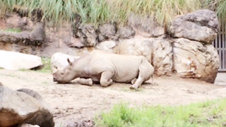 ファイル 2016-08-08 9 45 52