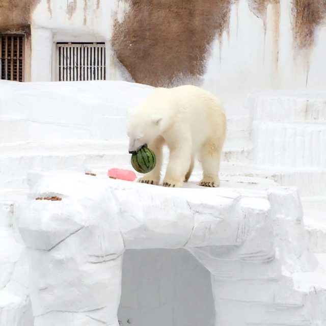 ファイル 2016-08-08 9 46 36