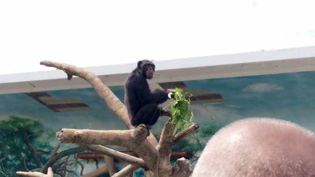 ファイル 2016-08-08 9 46 48