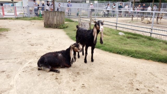 ファイル 2016-08-08 9 47 05