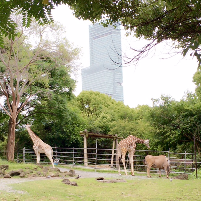 ファイル 2016-08-08 9 46 05