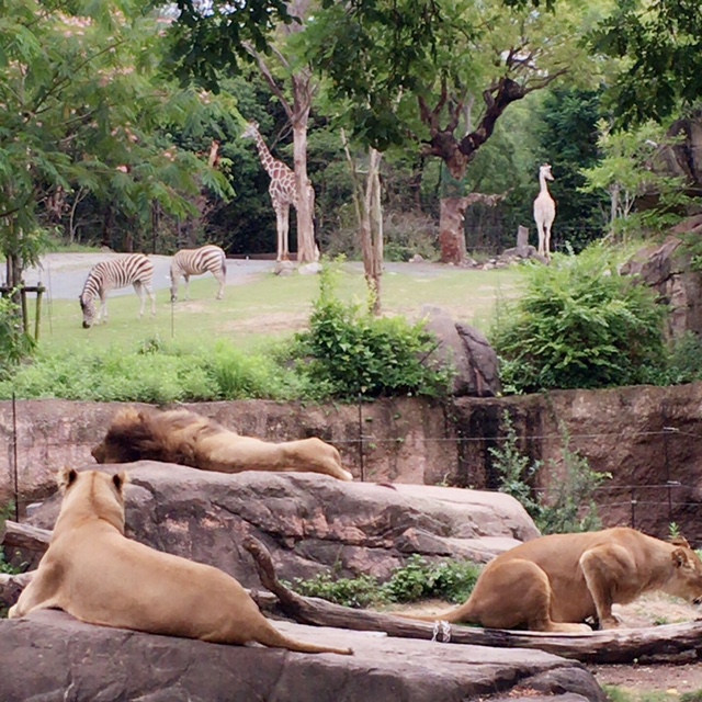 ファイル 2016-08-08 9 46 17