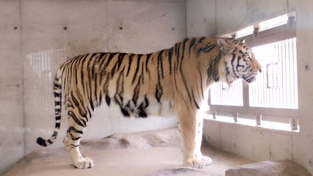 ファイル 2016-08-08 9 46 57