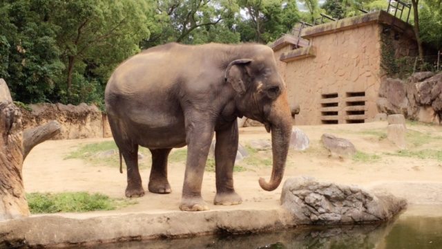 ファイル 2016-08-08 9 46 27