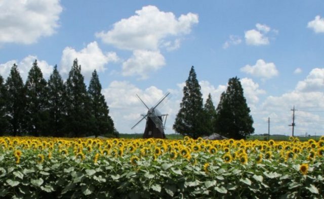 あけぼの山農業公園2