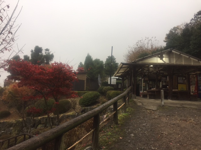 明礬（みょうばん）温泉湯の里　（大分/温泉)