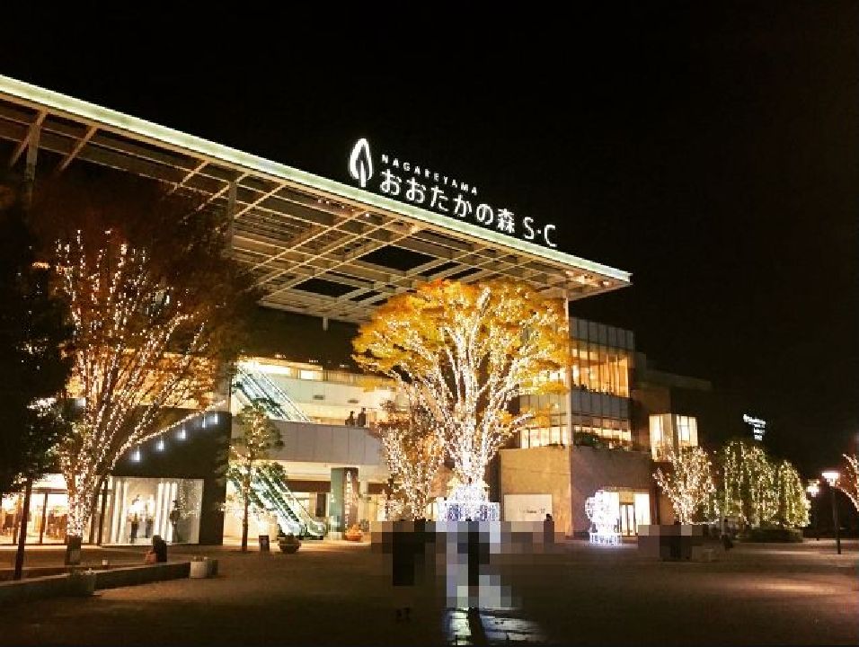 千葉県/イルミネーション「森のマルシェイルミネーション」