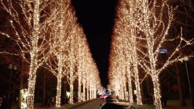 ロームイルミネーション( 京都市/電子部品メーカー)