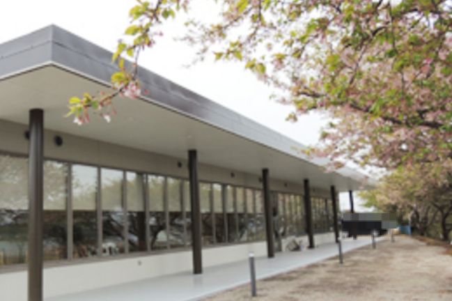 千葉県に野菜レストランＯＰＥＮしますよ