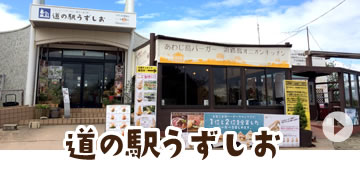 淡路島（道の駅うずしお）