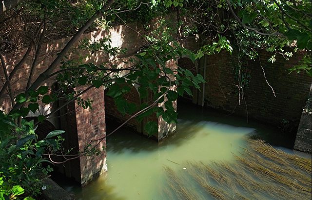 千葉県/「眼鏡橋/レンガ橋（小山樋門橋）」