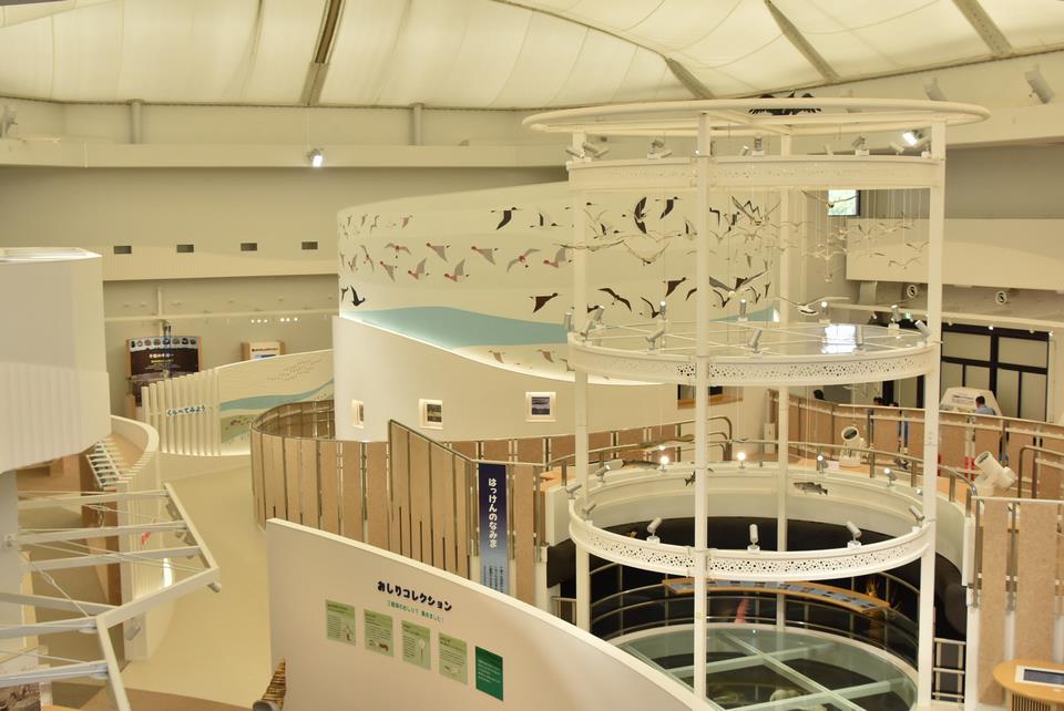 ふなばし三番瀬環境学習館（船橋市）