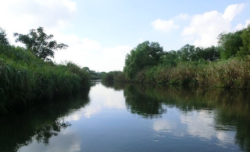 千葉県/ふれあい松戸川