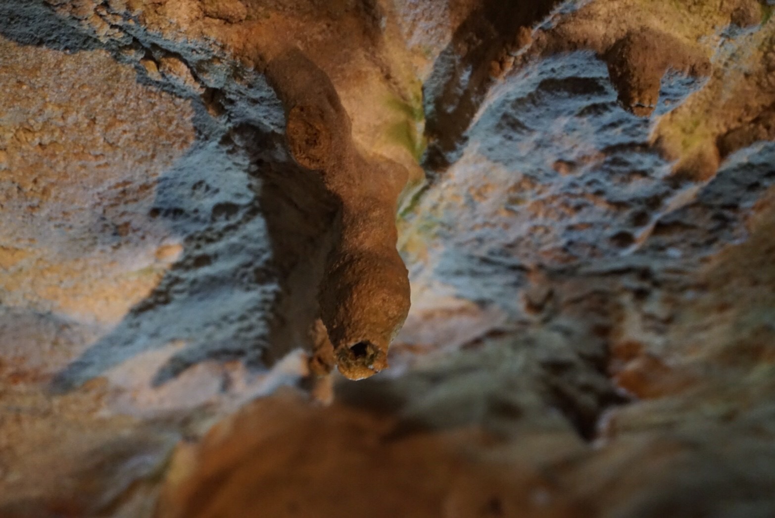 あぶくま洞 (福島県田村市)