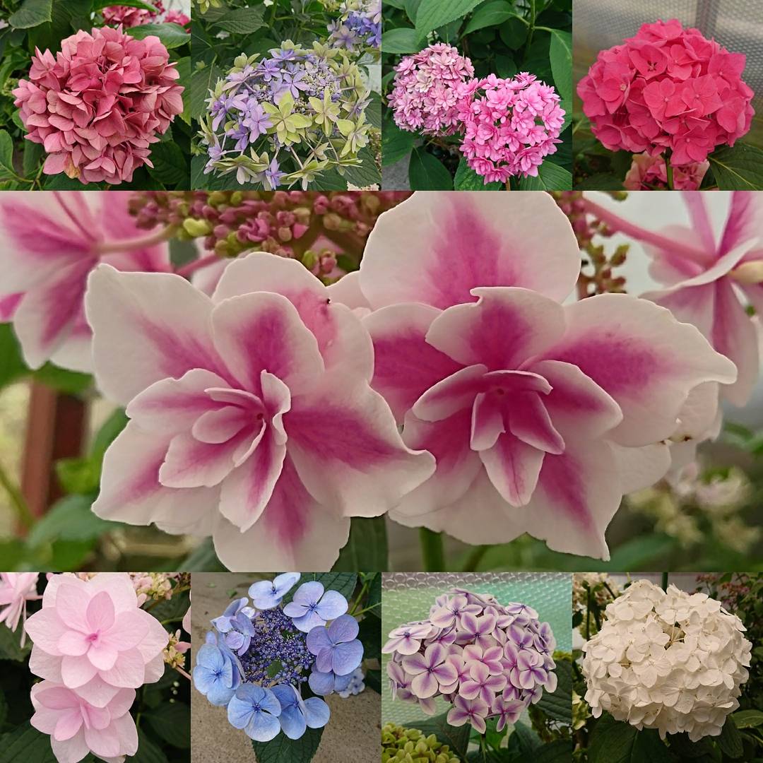 花鳥園(静岡県富士宮市）