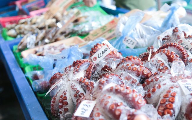 朝市「大原漁港」（千葉県）