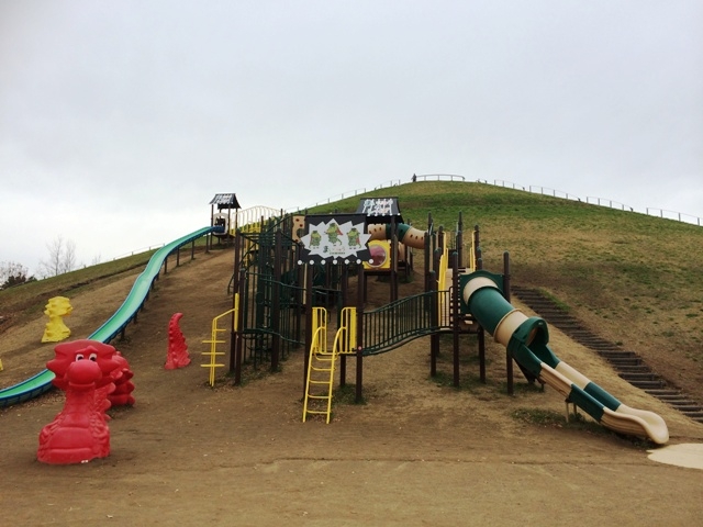龍ヶ岡公園（茨城県龍ケ崎市／公園）