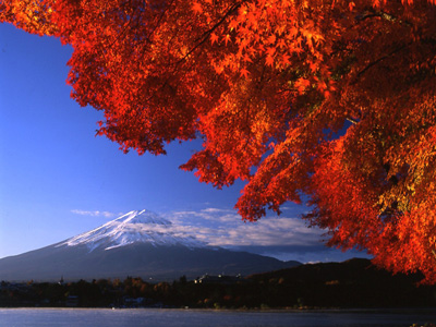 秋と言えば紅葉！森林限界を堪能♪