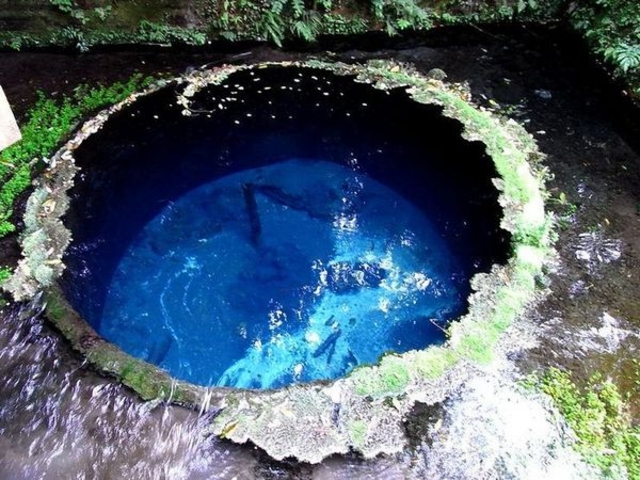 柿田川湧水・柿田川公園