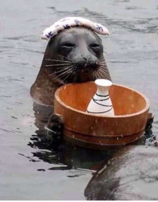 寒くなったら温泉街に行くしかない！