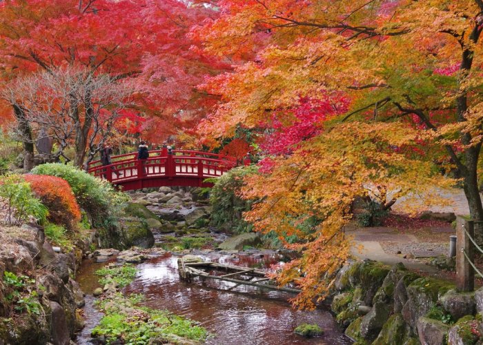 日本一が付く紅葉を♪熱海梅園（ 静岡県熱海市）