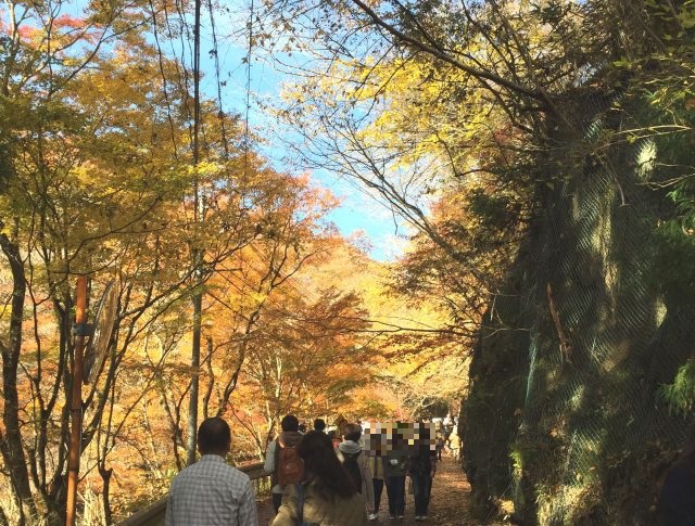 花貫渓谷（茨城県高萩市／紅葉）