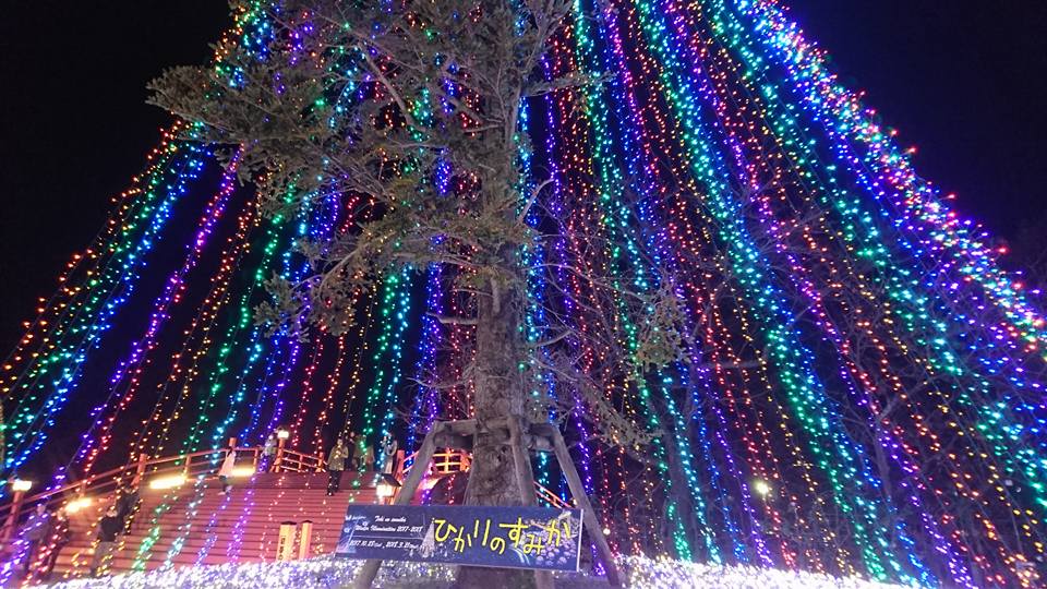 時之栖イルミネーション(静岡県/御殿場市)