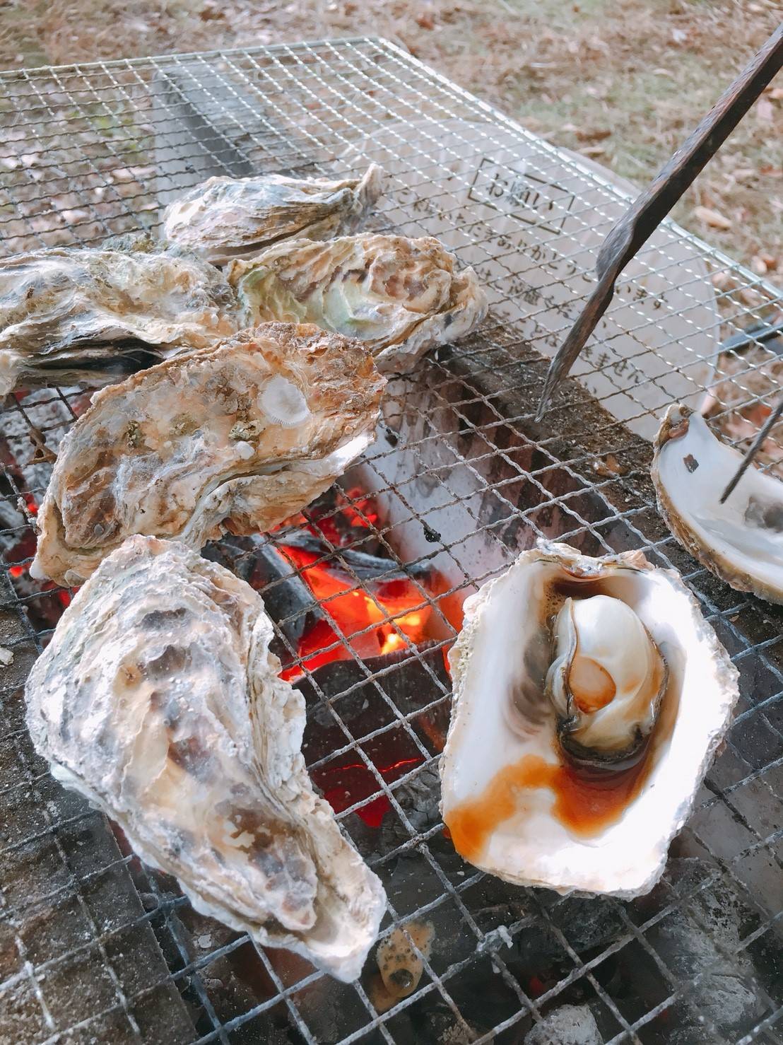 九十九島　パールシーリゾート（長崎県　佐世保市）