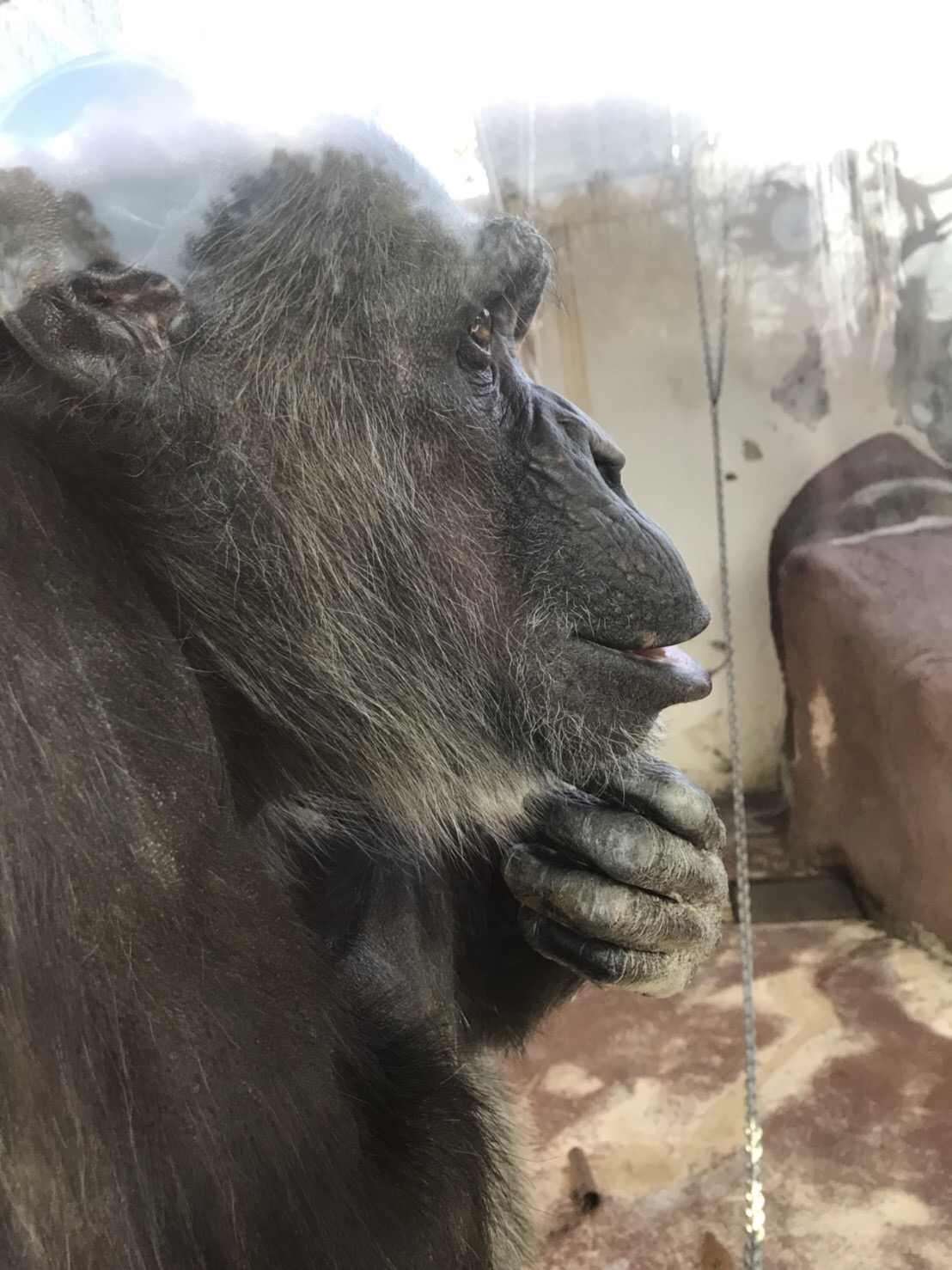 姫路セントラルパーク（姫路市）